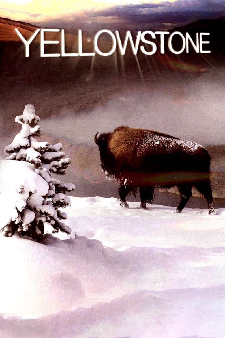Poster for the 2009 series Yellowstone