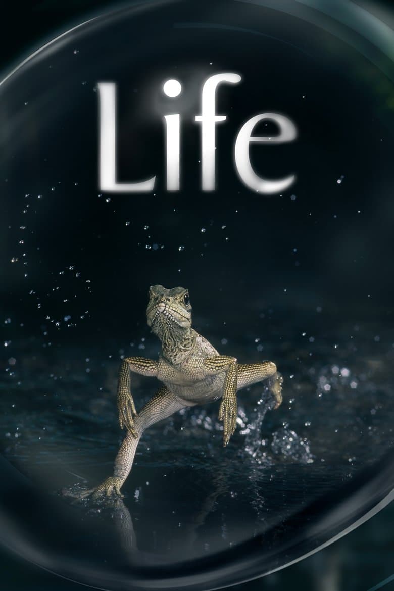 Poster for the 2009 series Life