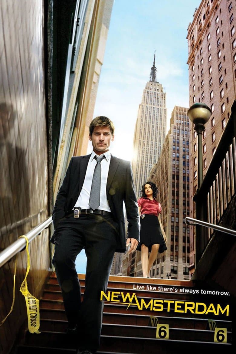 Poster for the 2008 series New Amsterdam